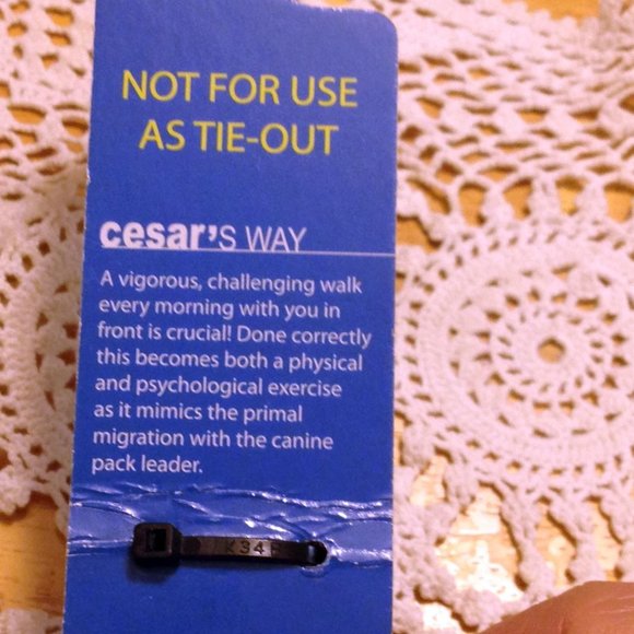 Pet collar, Cesar Milan Dog Collar, orange, 4" to 20" - Picture 5 of 6